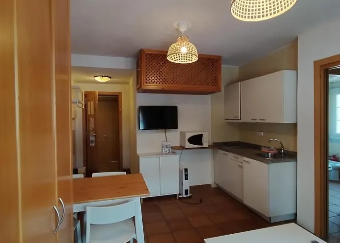 Arttyco Barrio Snow & *